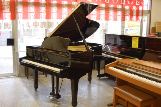 ヤマハ G3E