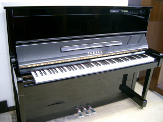 ヤマハ SX101RBL